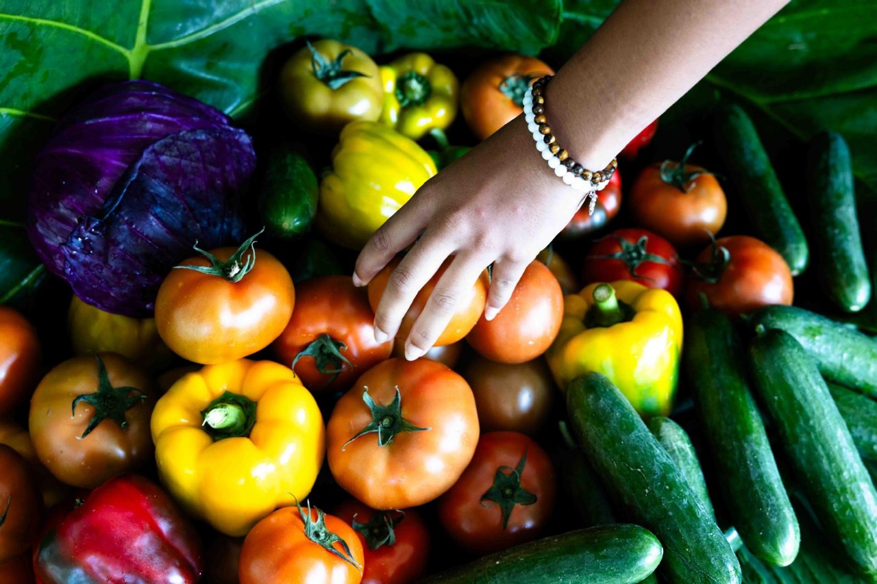 WhatsApp Image 2025-11-26 at 10.40.02